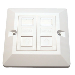 CAT5e Dual Port Ethernet Faceplate and 2x Modules