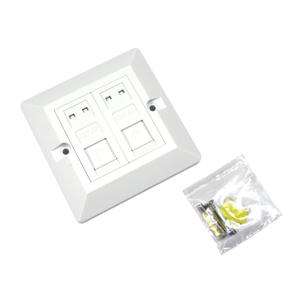 CAT5e Dual Port Ethernet Faceplate and 2x Modules