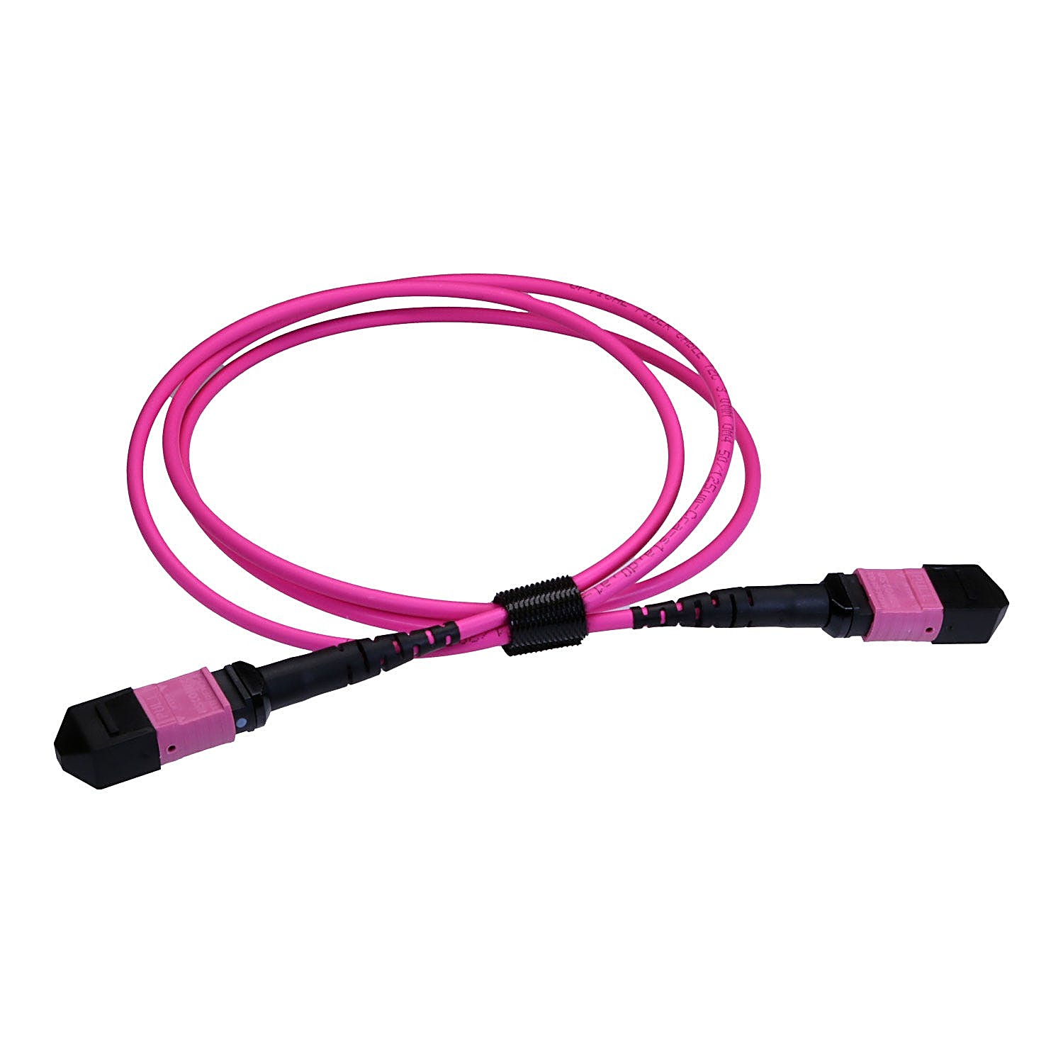 2m OM4 MPO 12 Fibre Trunk Cable Erika Violet
