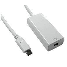 USB C to Mini Displayport Female Adapter Cable