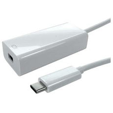 USB C to Mini Displayport Female Adapter Cable 4k 60Hz