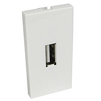 USB Type A Female Face Plate Single Socket Wallplate Module